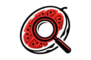 Bsport娱乐 - 吃瓜社Logo